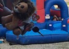 21740497_1902339719793116_8700377323516022423_n