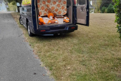 2023 NRBB Alternative to Halloween