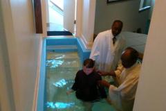 55450439_2701895719837508_3853634534180388864_o