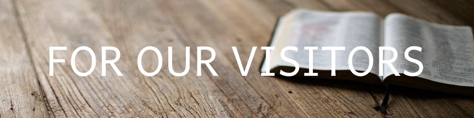 Visitor page header